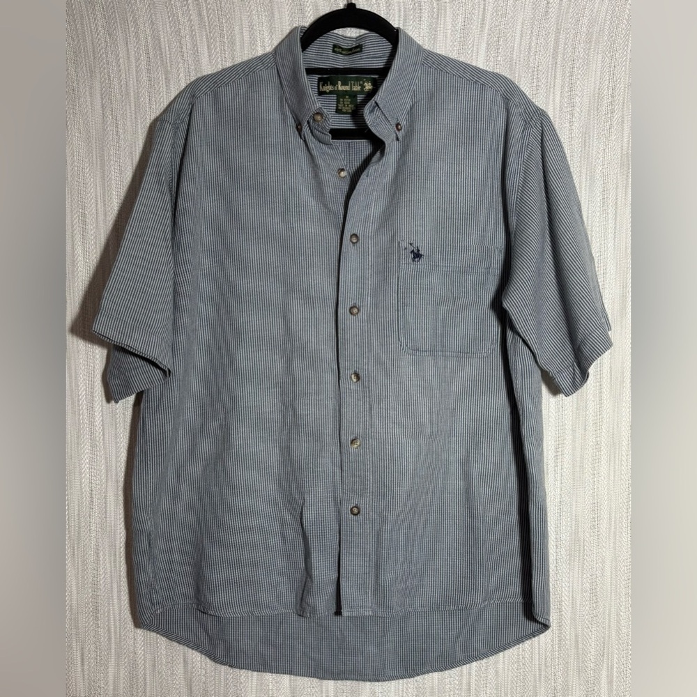 Casual Blue Button-Down Shirt